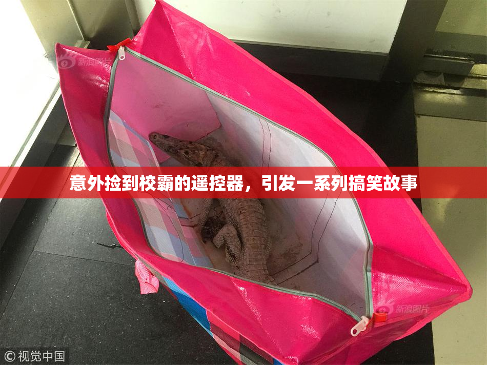 意外捡到校霸的遥控器，引发一系列搞笑故事