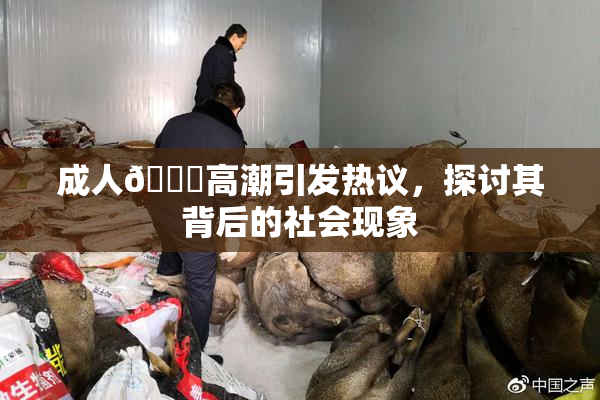 成人🔞高潮引发热议，探讨其背后的社会现象