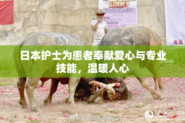 日本护士为患者奉献爱心与专业技能，温暖人心