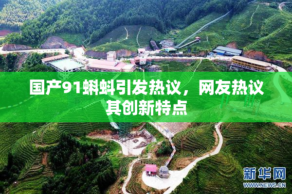 国产91蝌蚪引发热议，网友热议其创新特点