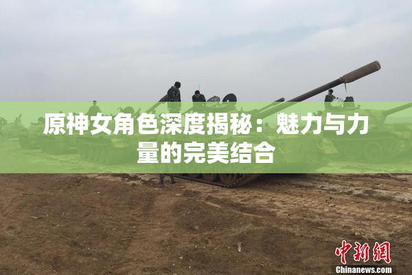 原神女角色深度揭秘：魅力与力量的完美结合