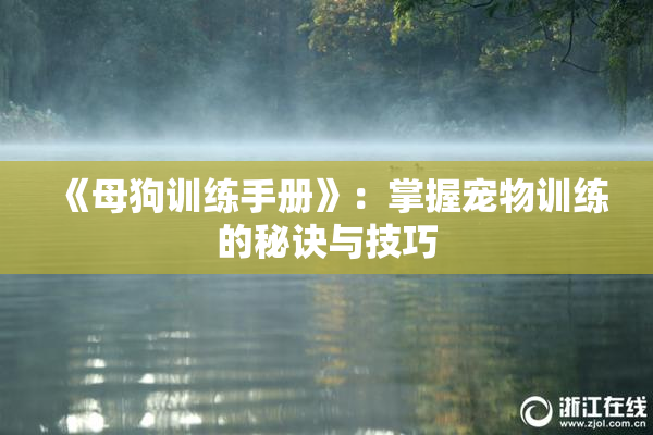 《母狗训练手册》：掌握宠物训练的秘诀与技巧