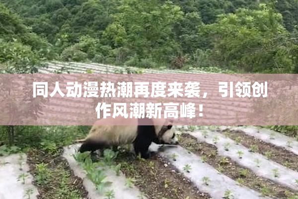同人动漫热潮再度来袭，引领创作风潮新高峰！