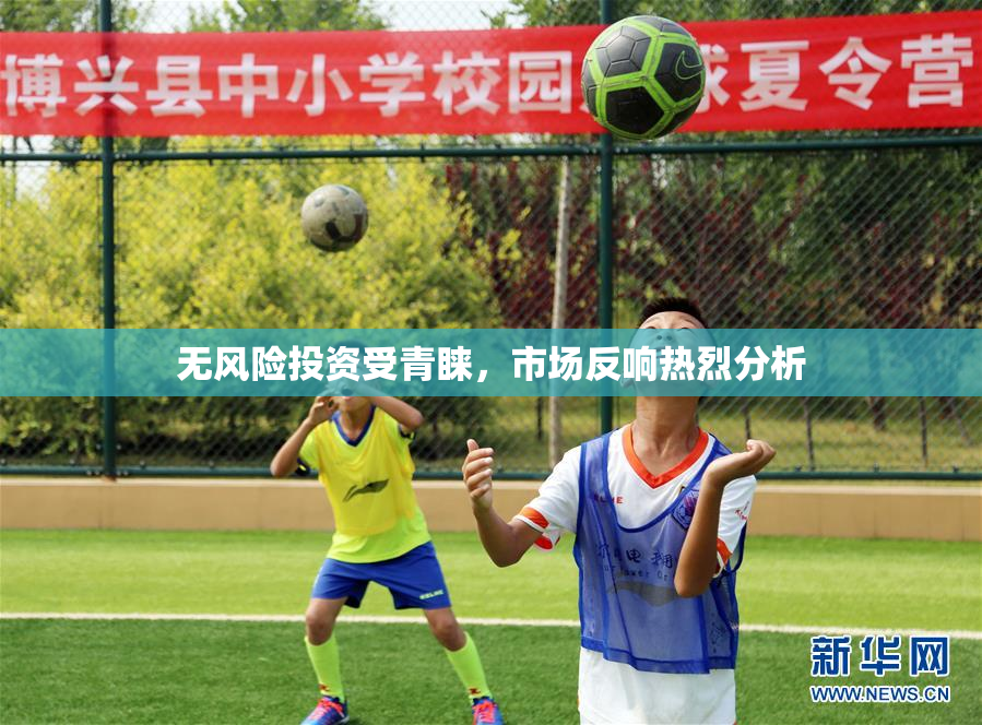 无风险投资受青睐，市场反响热烈分析