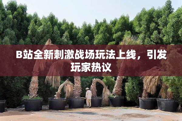 B站全新刺激战场玩法上线，引发玩家热议
