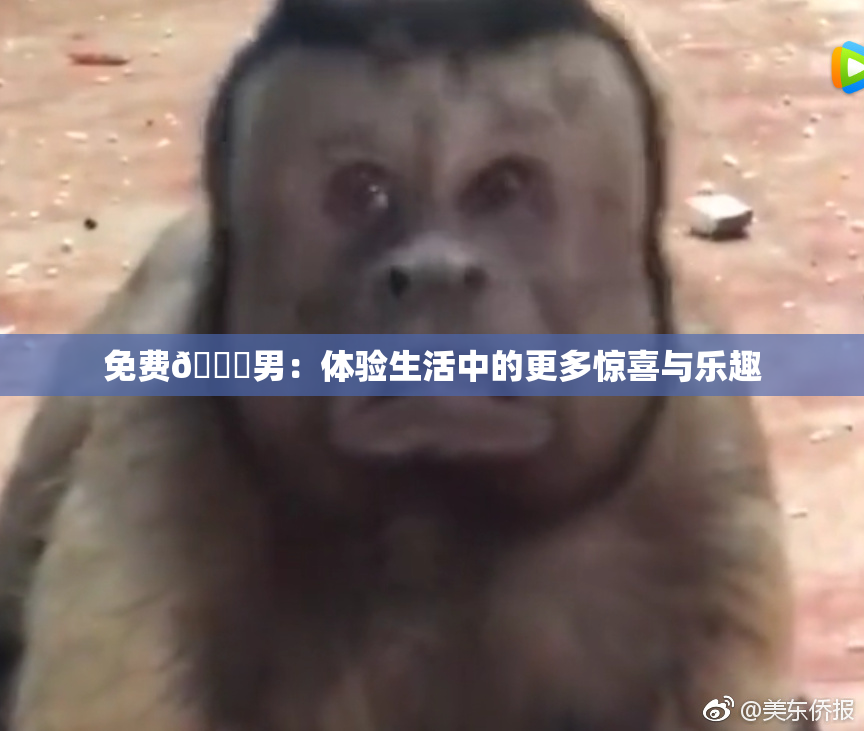 免费🔞男：体验生活中的更多惊喜与乐趣