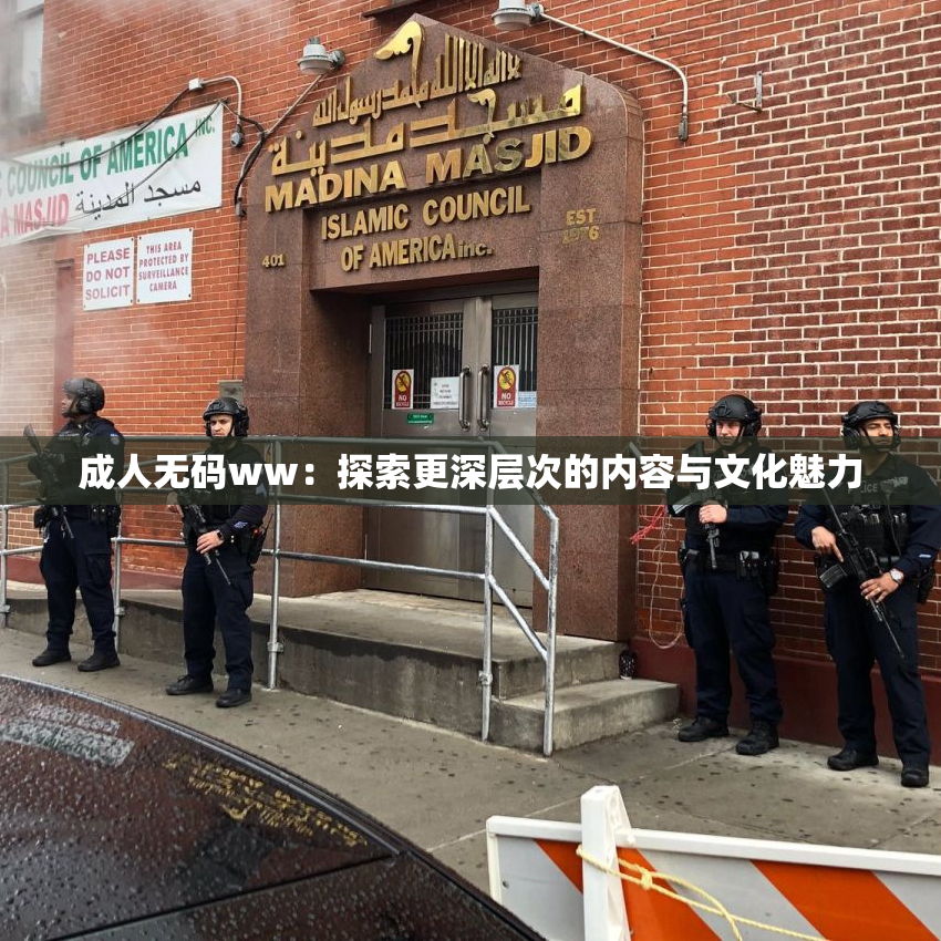 成人无码ww：探索更深层次的内容与文化魅力