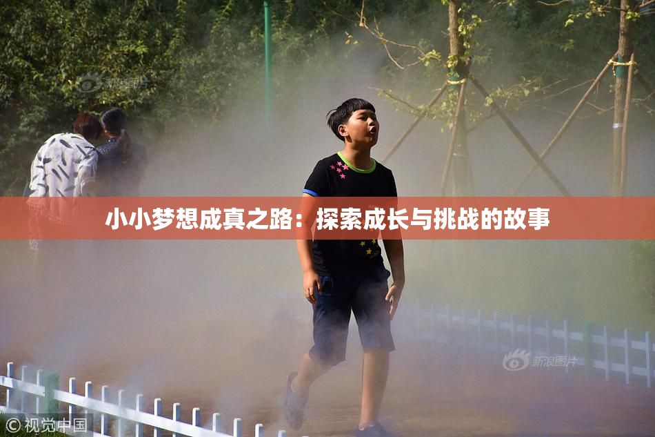 小小梦想成真之路：探索成长与挑战的故事