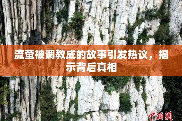 流萤被调教成的故事引发热议，揭示背后真相
