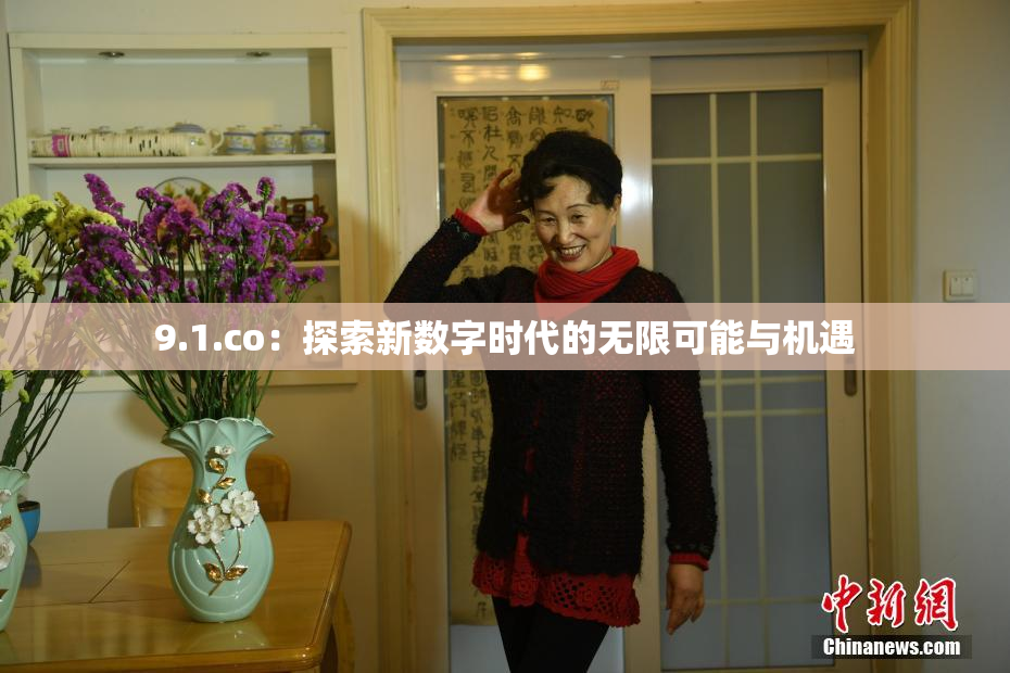 9.1.co：探索新数字时代的无限可能与机遇