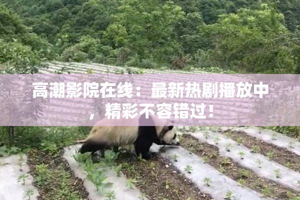 高潮影院在线：最新热剧播放中，精彩不容错过！