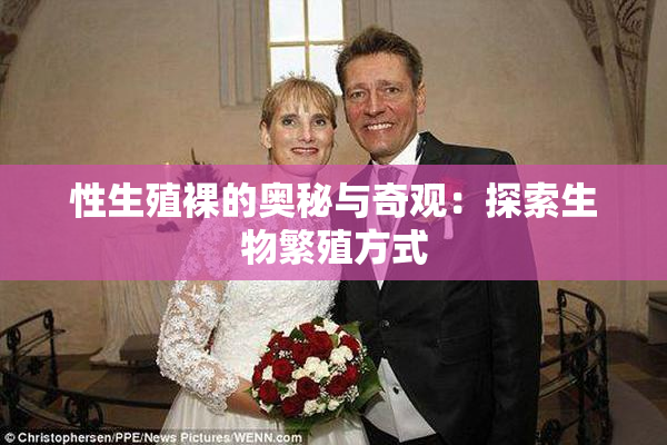 性生殖裸的奥秘与奇观：探索生物繁殖方式
