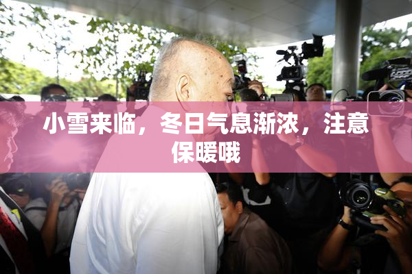 小雪来临，冬日气息渐浓，注意保暖哦