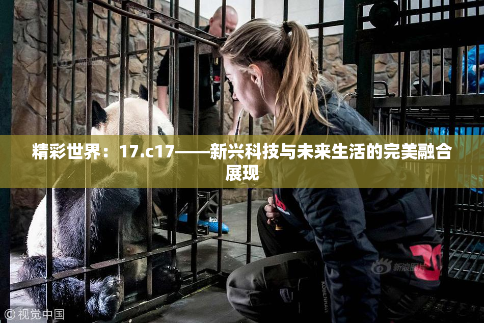 精彩世界：17.c17——新兴科技与未来生活的完美融合展现