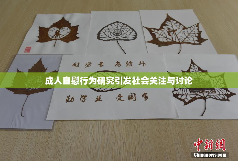 成人自慰行为研究引发社会关注与讨论