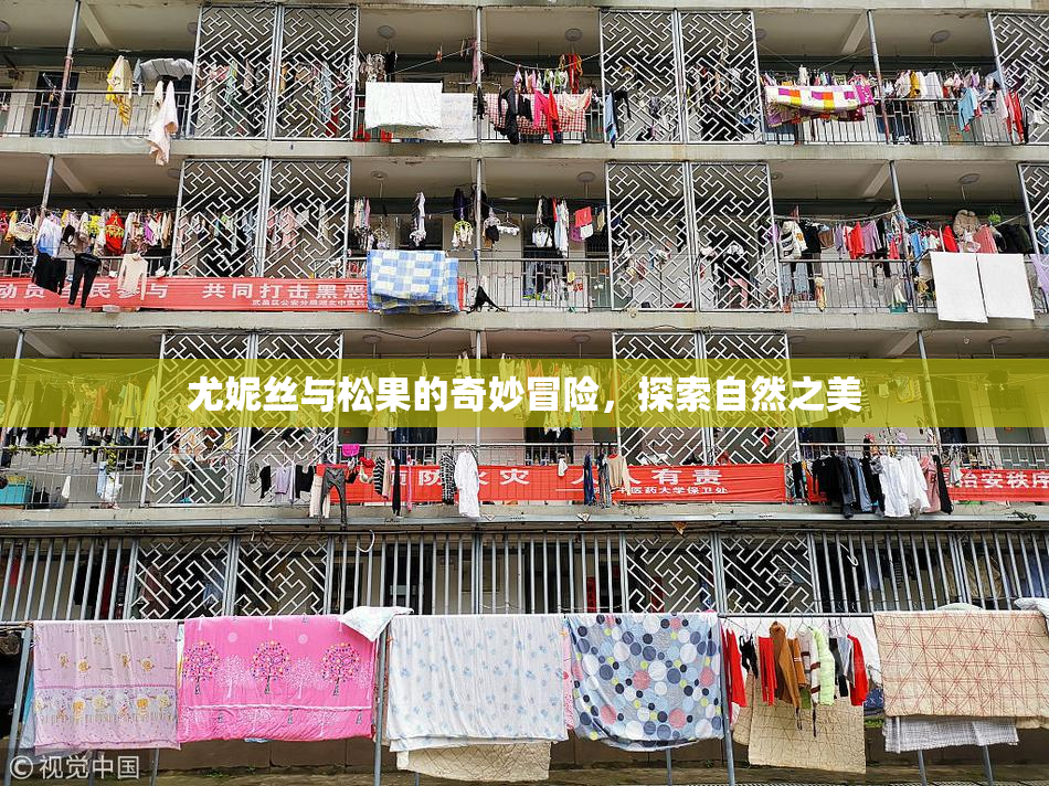 尤妮丝与松果的奇妙冒险，探索自然之美