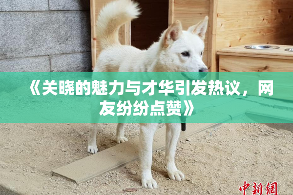 《关晓的魅力与才华引发热议，网友纷纷点赞》