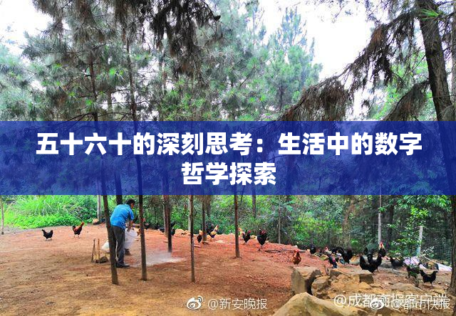五十六十的深刻思考：生活中的数字哲学探索