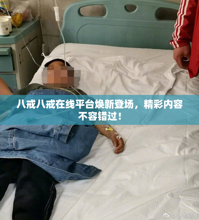 八戒八戒在线平台焕新登场，精彩内容不容错过！