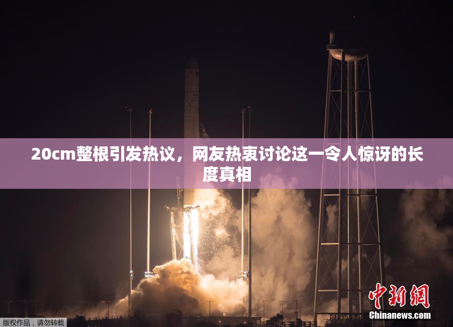 20cm整根引发热议，网友热衷讨论这一令人惊讶的长度真相