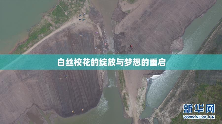 白丝校花的绽放与梦想的重启