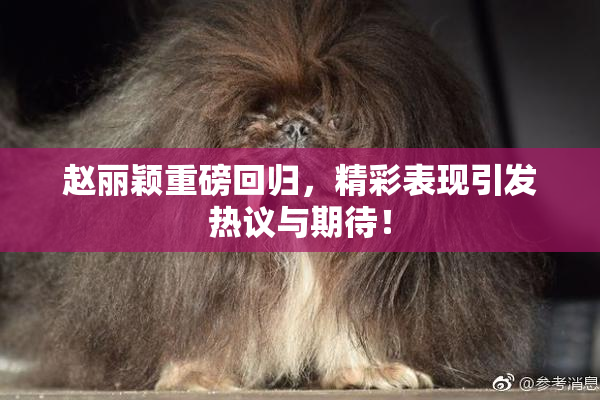 赵丽颖重磅回归，精彩表现引发热议与期待！