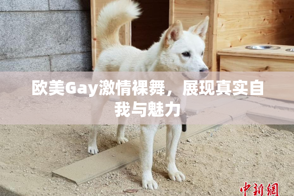 欧美Gay激情裸舞，展现真实自我与魅力