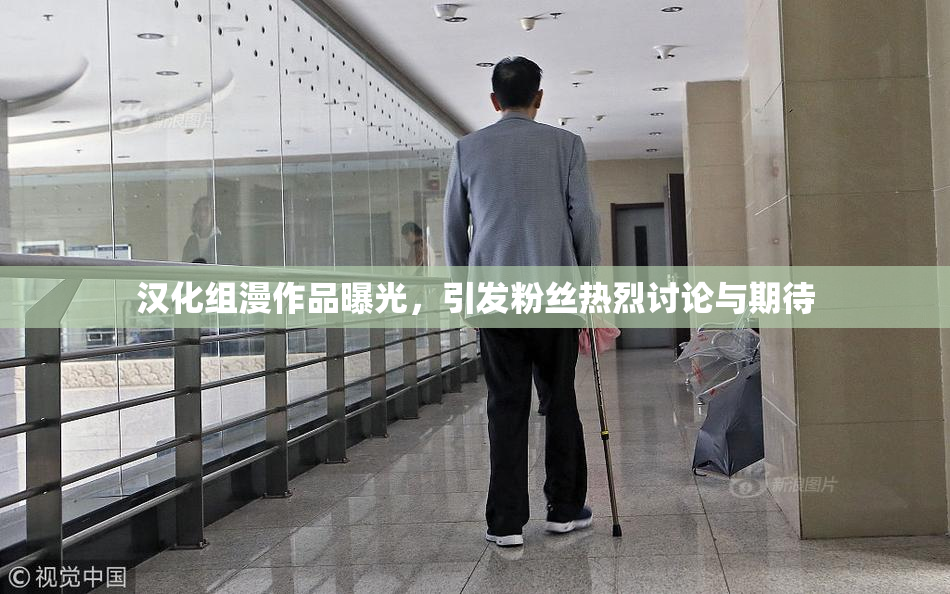 汉化组漫作品曝光，引发粉丝热烈讨论与期待