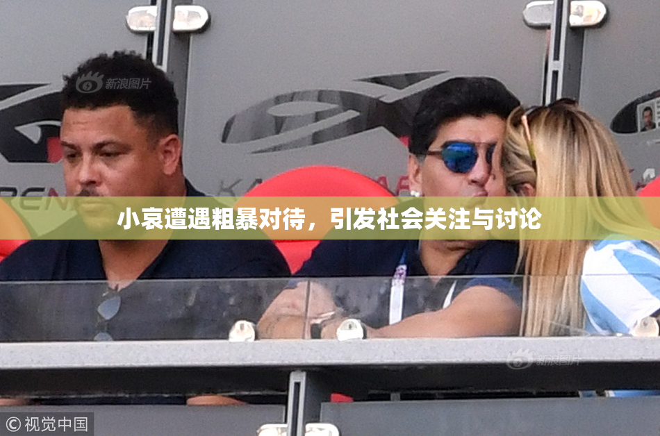小哀遭遇粗暴对待，引发社会关注与讨论