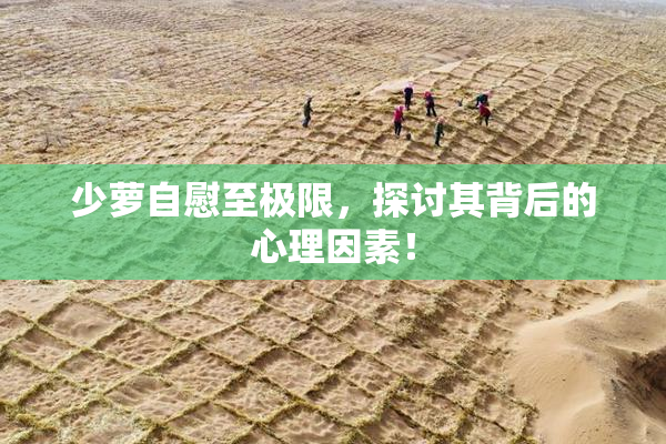 少萝自慰至极限，探讨其背后的心理因素！