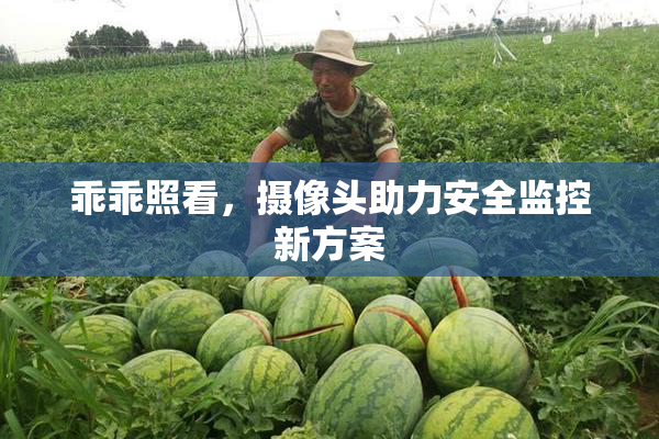 乖乖照看，摄像头助力安全监控新方案