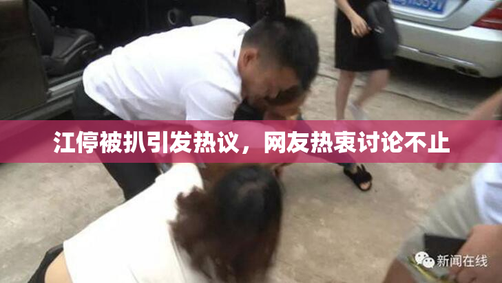 江停被扒引发热议，网友热衷讨论不止