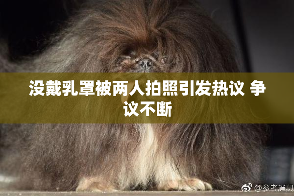 没戴乳罩被两人拍照引发热议 争议不断