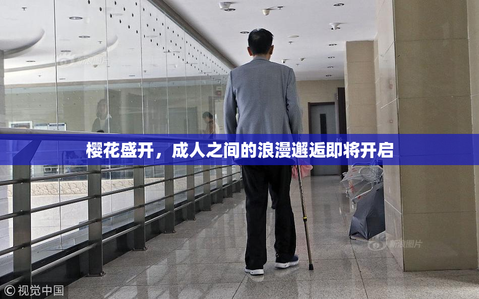 樱花盛开，成人之间的浪漫邂逅即将开启