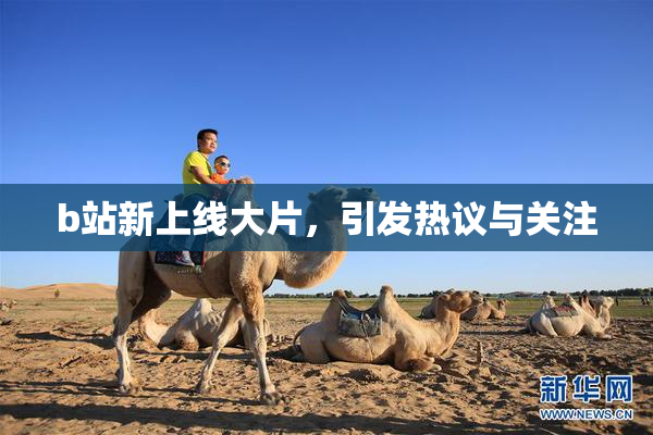 b站新上线大片，引发热议与关注