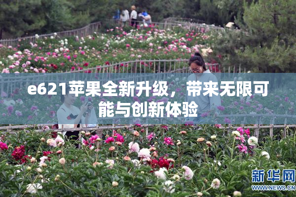 e621苹果全新升级，带来无限可能与创新体验