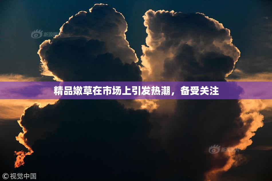 精品嫩草在市场上引发热潮，备受关注