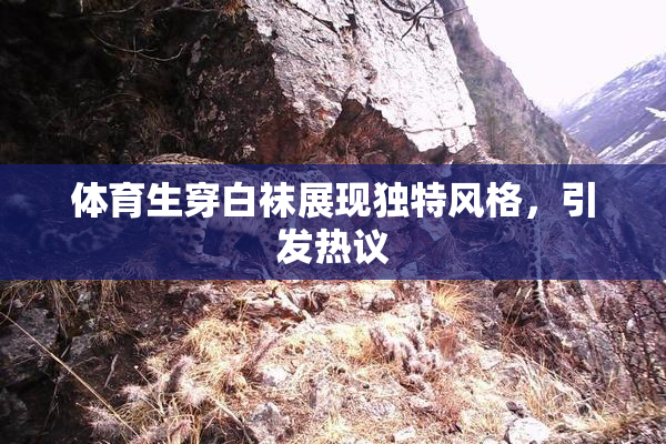 体育生穿白袜展现独特风格，引发热议