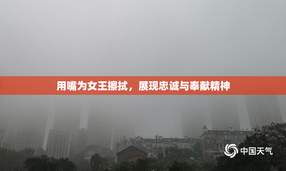 用嘴为女王擦拭，展现忠诚与奉献精神