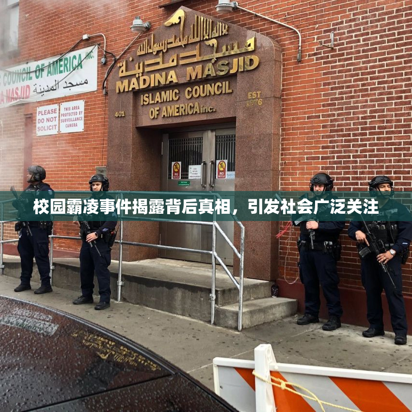 校园霸凌事件揭露背后真相，引发社会广泛关注