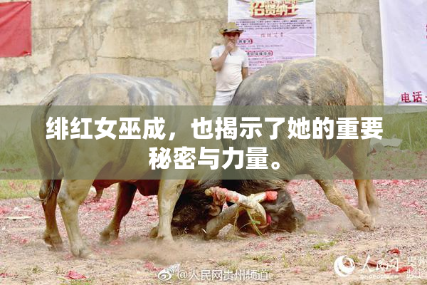 绯红女巫成，也揭示了她的重要秘密与力量。