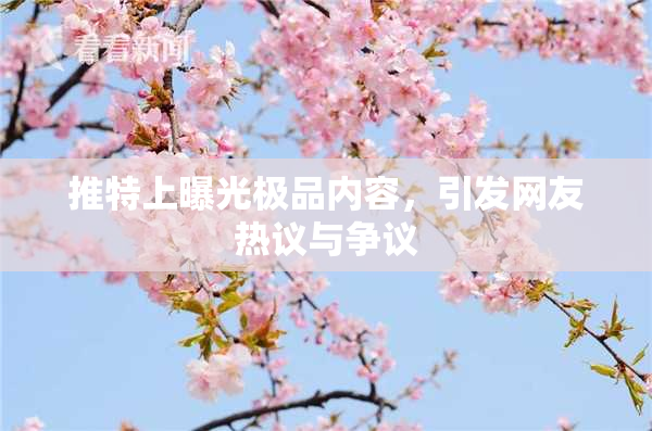 推特上曝光极品内容，引发网友热议与争议