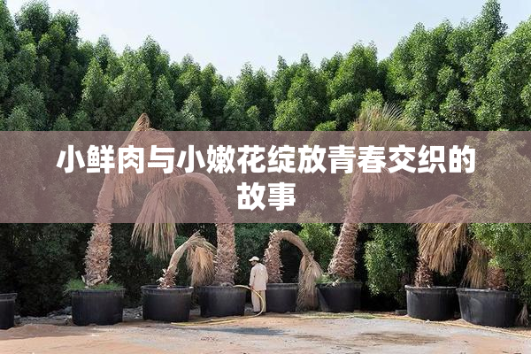 小鲜肉与小嫩花绽放青春交织的故事