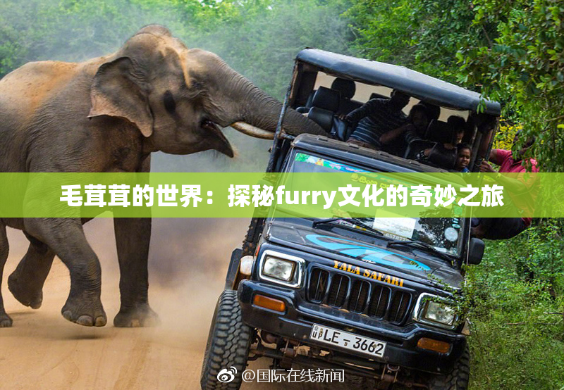毛茸茸的世界：探秘furry文化的奇妙之旅