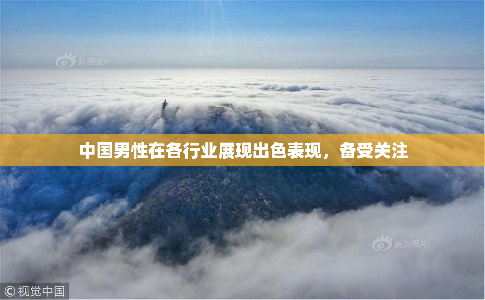 中国男性在各行业展现出色表现，备受关注