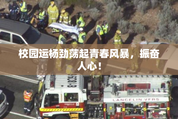 校园运杨劲荡起青春风暴，振奋人心！