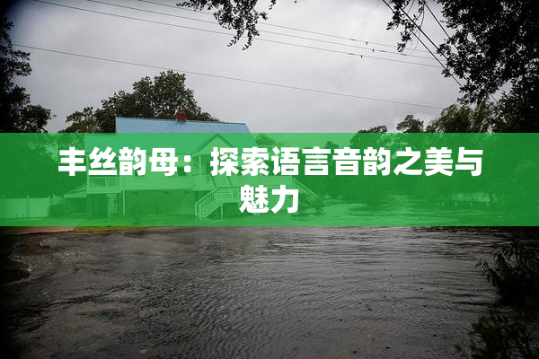 丰丝韵母：探索语言音韵之美与魅力
