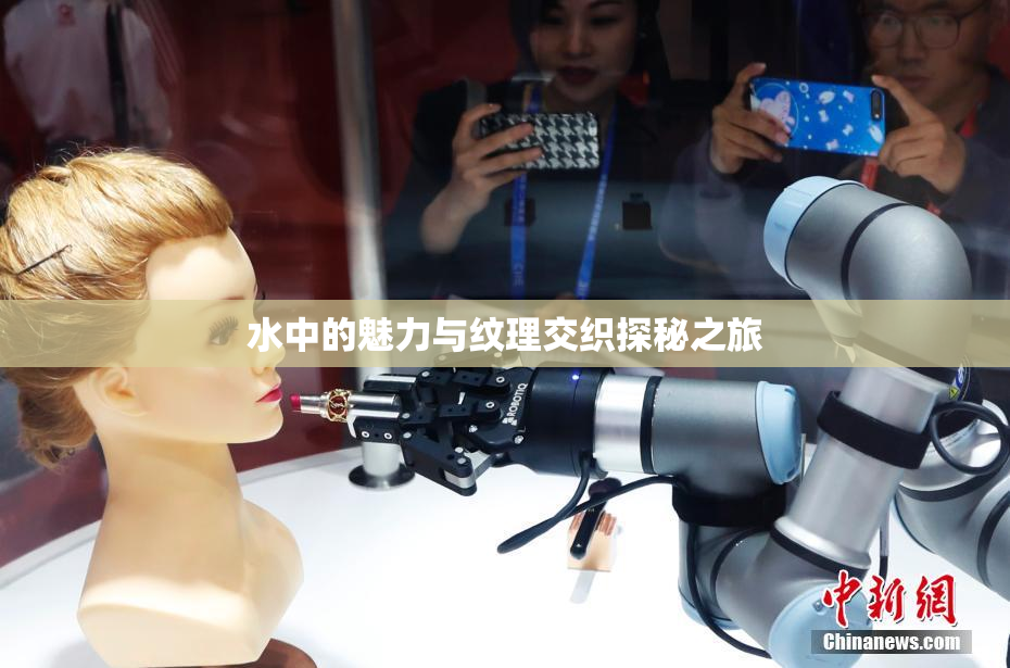 水中的魅力与纹理交织探秘之旅