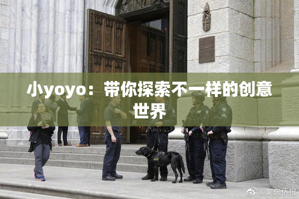 小yoyo：带你探索不一样的创意世界