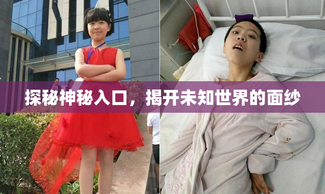 探秘神秘入口，揭开未知世界的面纱